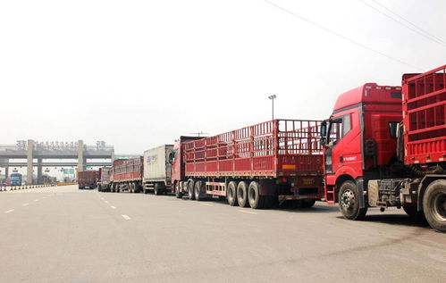 貨運行業新動向 兩會提案聚焦高速免費與多證合一，助力道路貨物運輸代理發展